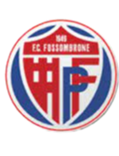 https://img.hebeifeicheng.com/img/football/team/716538f8ce647982665ad98c59e7f663.png