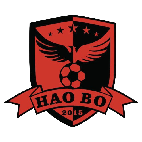 https://img.hebeifeicheng.com/img/football/team/d9a3c5c122b3cc6e825109eb6745e378.png